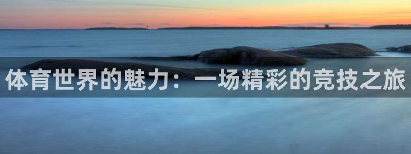 下载风速体育：体育世界的魅力：一场精彩的竞技之旅