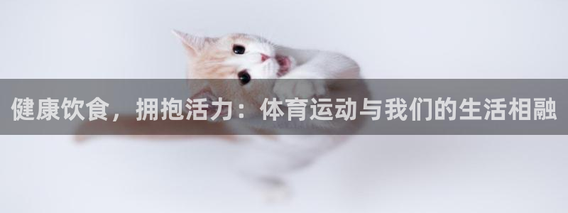 风速体育nba免费直播：健康饮食，拥抱活力：体育运动与我们的生活相融
