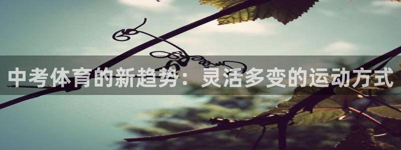 风速体育app：中考体育的新趋势：灵活多变的运动方式