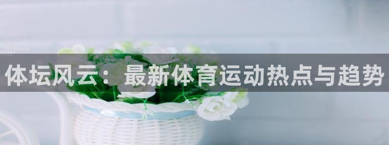 风速体育cba直播：体坛风云：最新体育运动热点与趋势