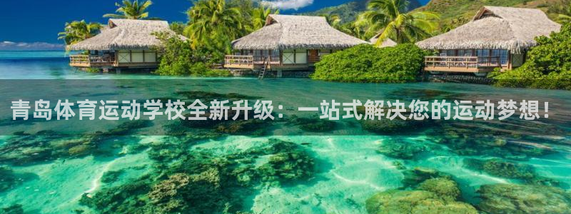 风速体育：青岛体育运动学校全新升级：一站式解决您的运动梦想！