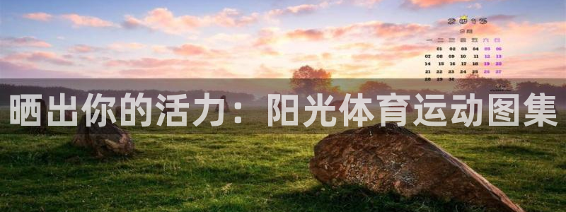 风速体育app下载官网最新版：晒出你的活力：阳光体育运动图集
