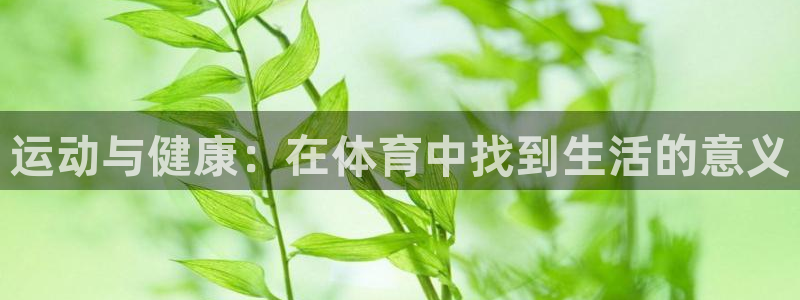 风速体育cba直播：运动与健康：在体育中找到生活的意义