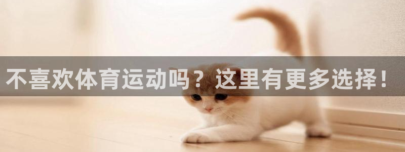 风速体育app：不喜欢体育运动吗？这里有更多选择！