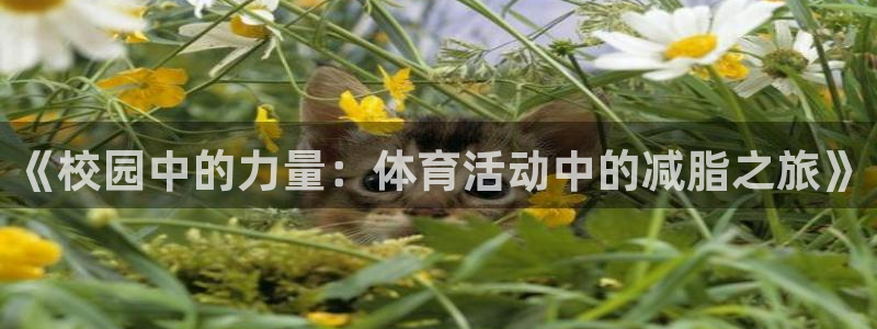 风速体育官网：《校园中的力量：体育活动中的减脂之旅》