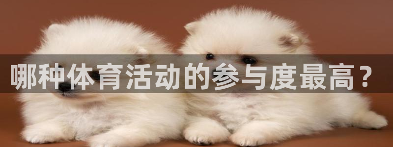 风速体育官网：哪种体育活动的参与度最高？