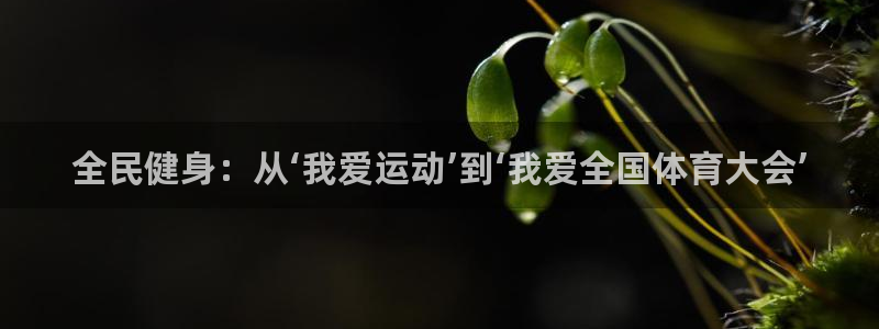 风速体育nba直播：全民健身：从‘我爱运动’到‘我爱全国体育大会’