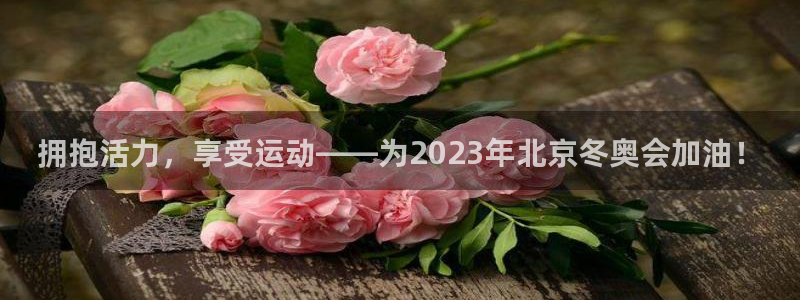 风速体育nba直播：拥抱活力，享受运动——为2023年北京冬奥会加油！