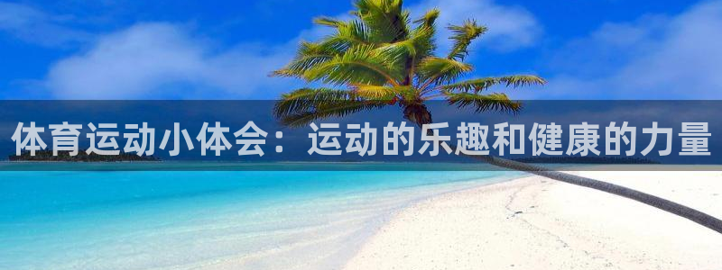 风速体育：体育运动小体会：运动的乐趣和健康的力量